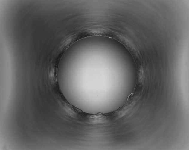 X0000115620428200911171319