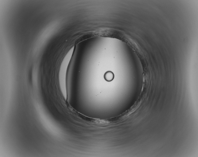 X0000115620429200911171319