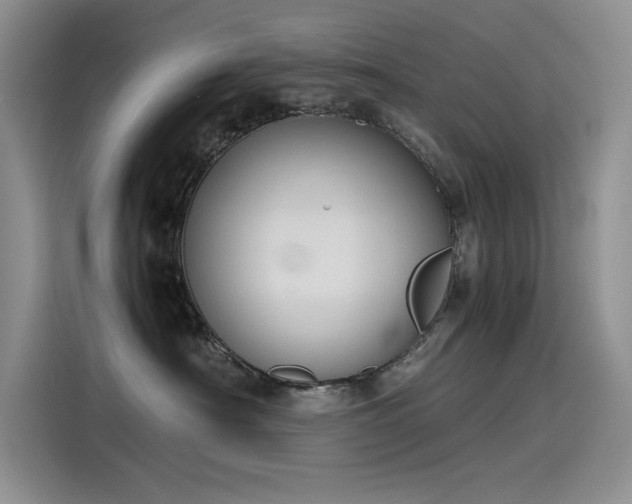 X0000115620430200911171319