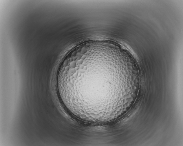 X0000115620433200911171319