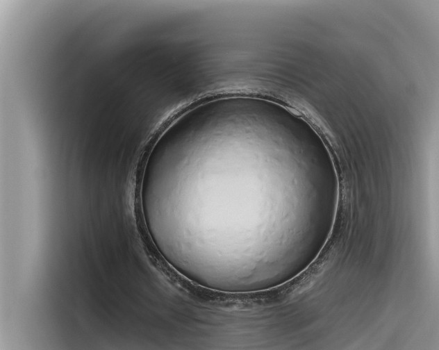 X0000115620434200911171319