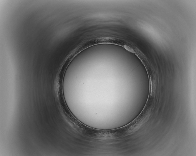 X0000115620435200911171319