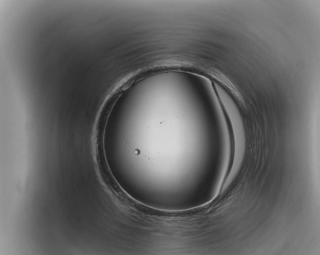 X0000115620436200911171319