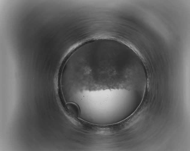 X0000115620438200911171319