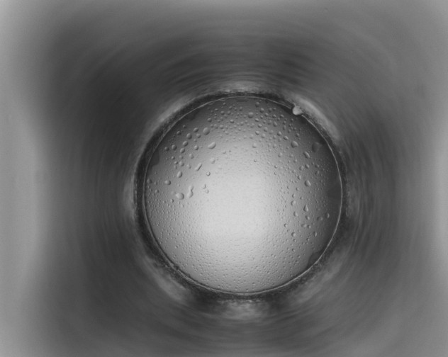 X0000115620439200911171319