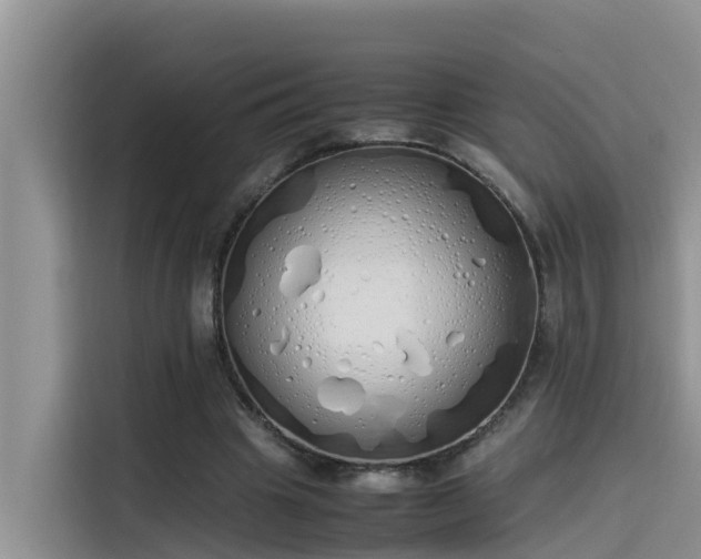 X0000115620441200911171319