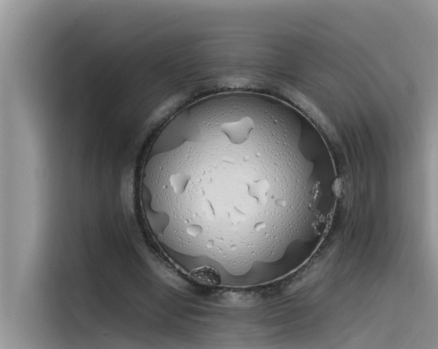 X0000115620442200911171319