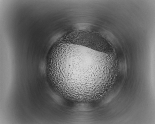 X0000115620444200911171319