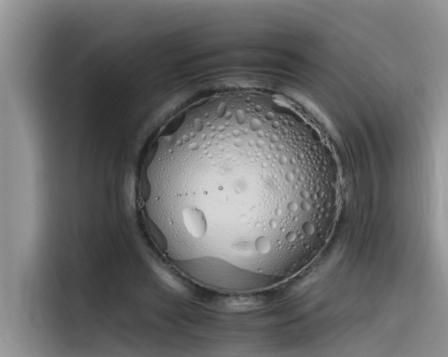 X0000115620445200911171319