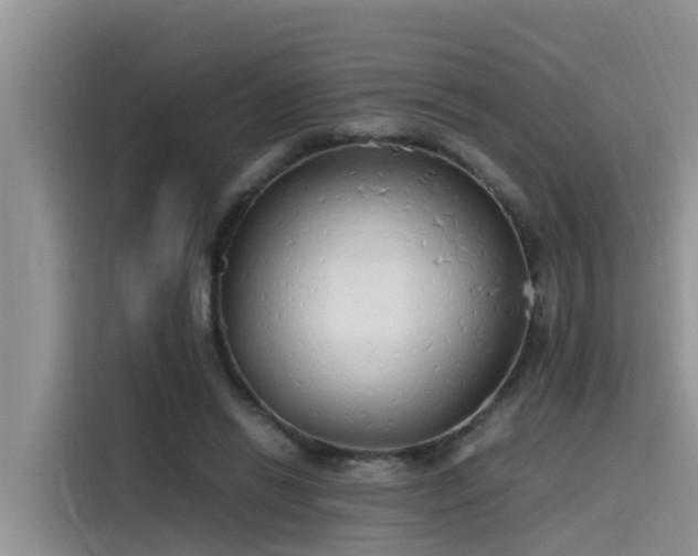 X0000115620446200911171319