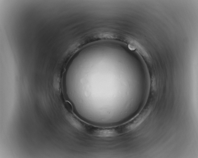 X0000115620449200911171319