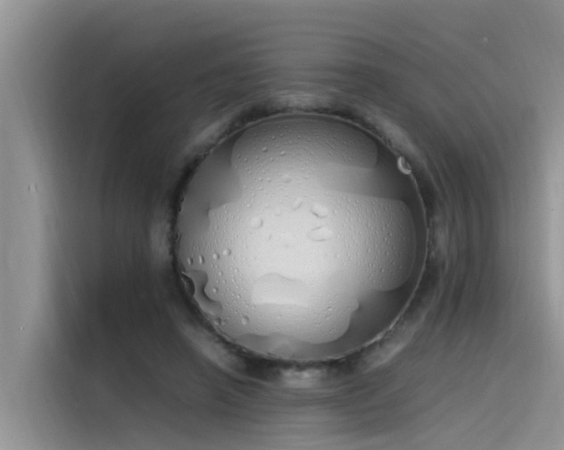 X0000115620450200911171319