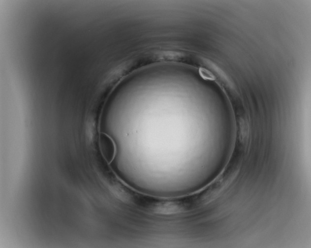 X0000115620451200911171319