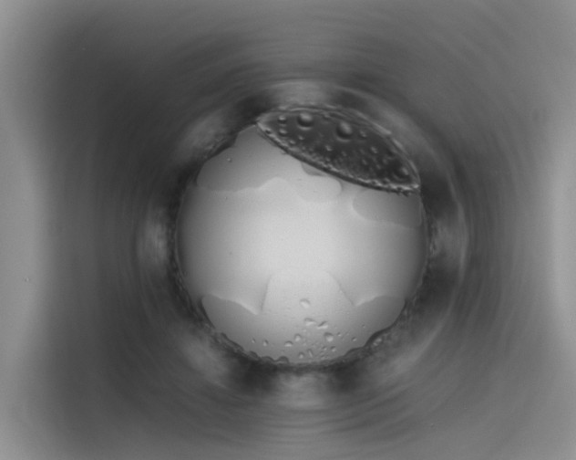 X0000115620452200911171319