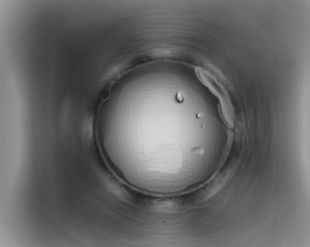 X0000115620454200911171319