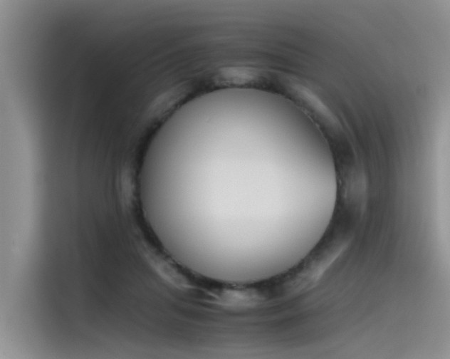 X0000115620455200911171319