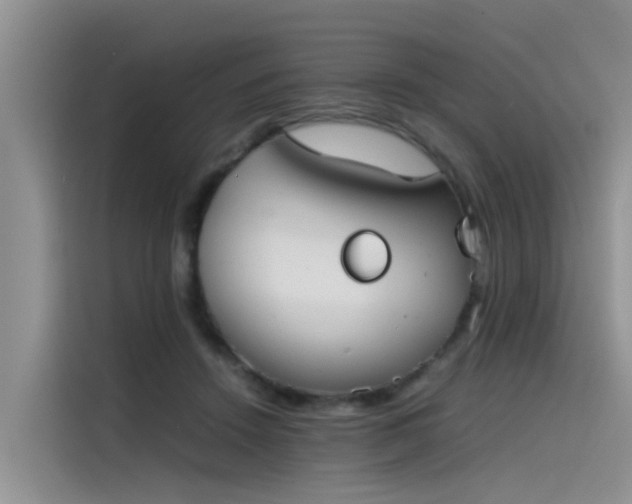 X0000115620456200911171319