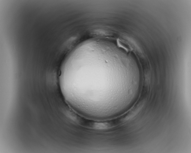 X0000115620457200911171319