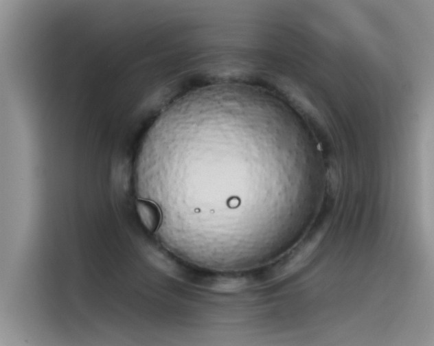 X0000115620458200911171319