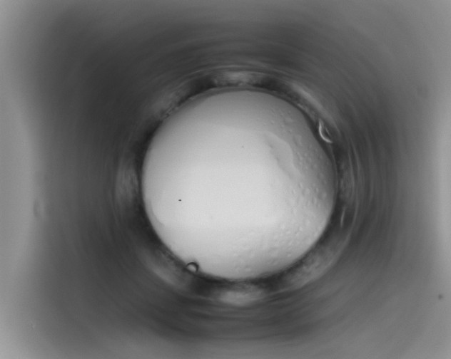 X0000115620459200911171319