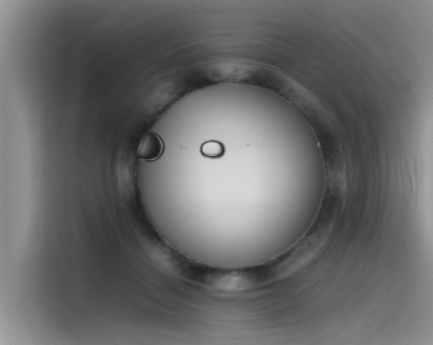 X0000115620460200911171319