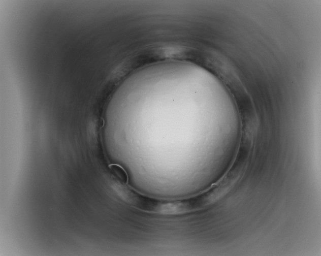 X0000115620461200911171319