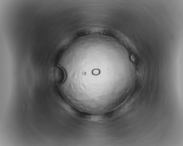 X0000115620462200911171319