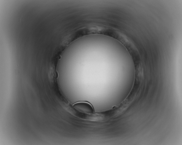 X0000115620463200911171319