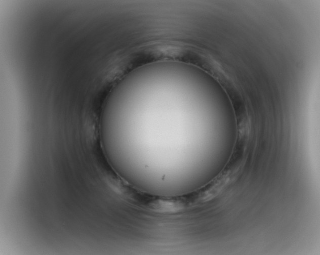 X0000115620464200911171319