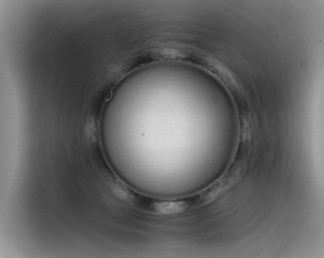 X0000115620465200911171319