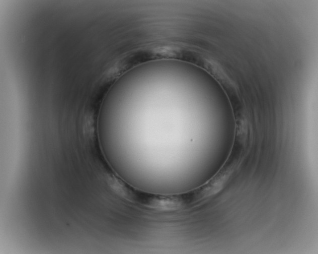 X0000115620466200911171319