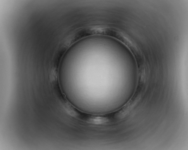 X0000115620467200911171319