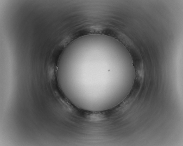 X0000115620468200911171319