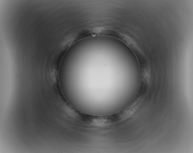 X0000115620470200911171319