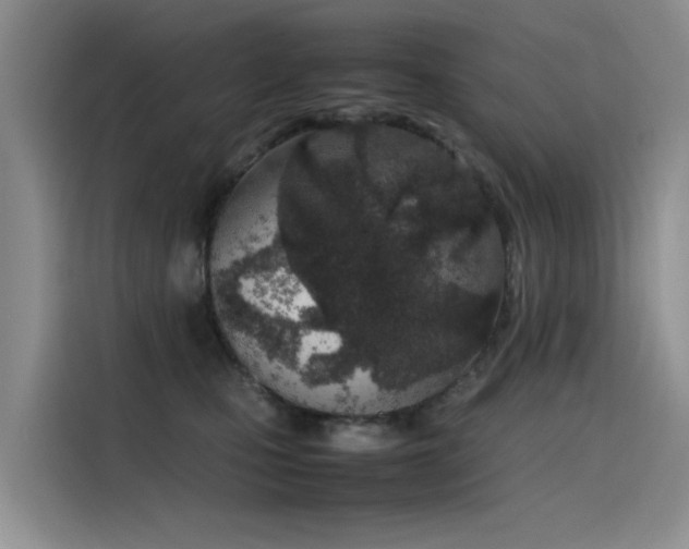 X0000115620471200911171319