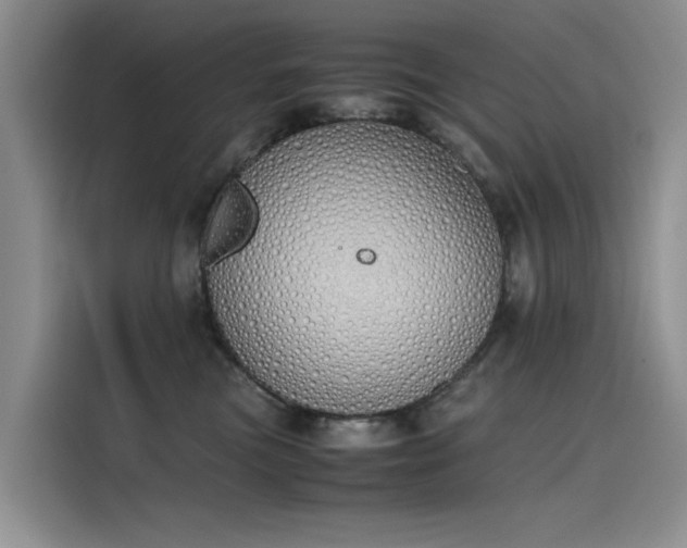 X0000115620473200911171319