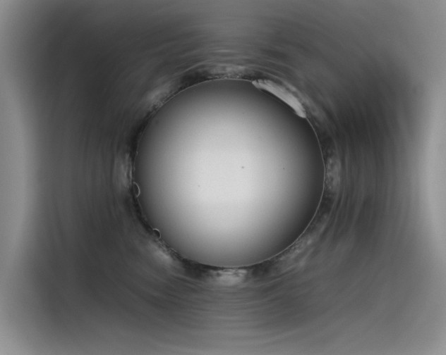 X0000115620474200911171319