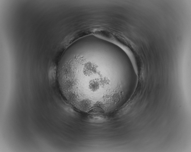 X0000115620475200911171319