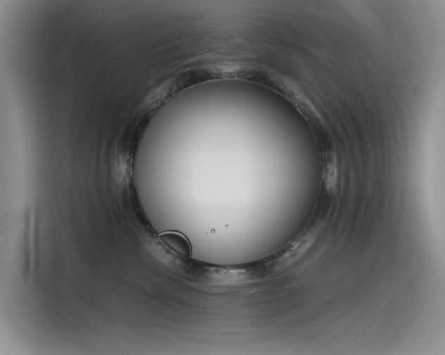 X0000115620476200911171319