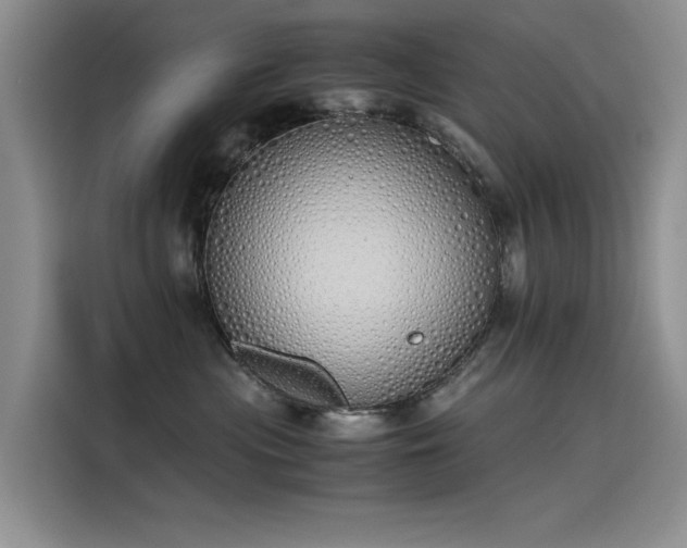 X0000115620477200911171319