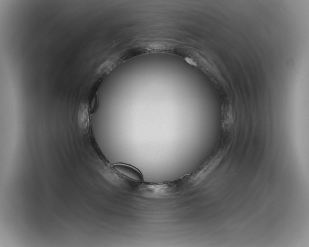 X0000115620478200911171319