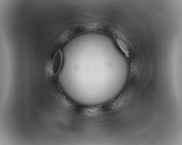 X0000115620479200911171319