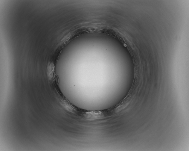 X0000115620480200911171319