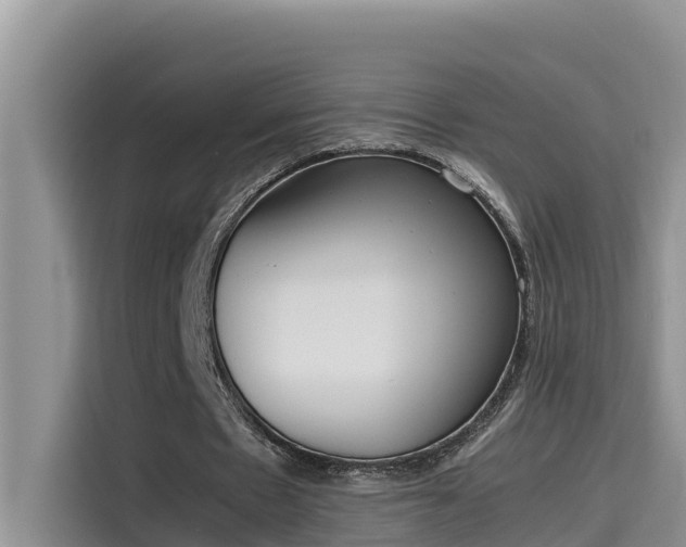 X0000115620481200911171319