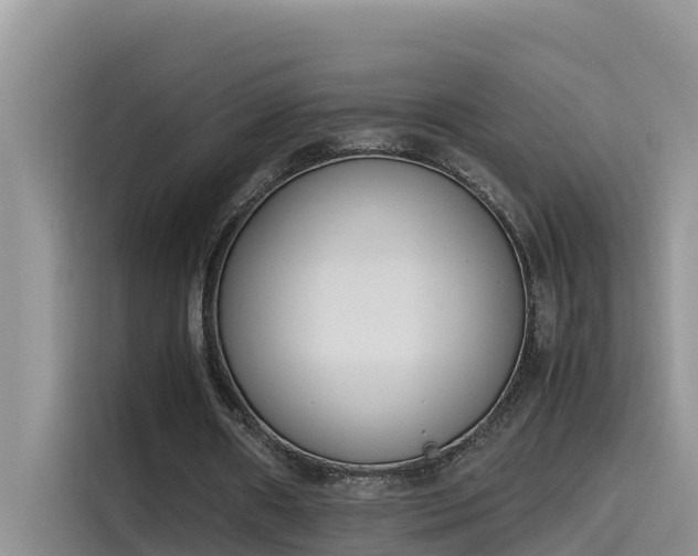 X0000115620482200911171319