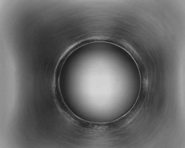 X0000115620484200911171319