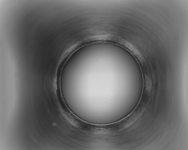 X0000115620486200911171319