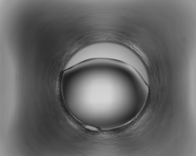 X0000115620489200911171319