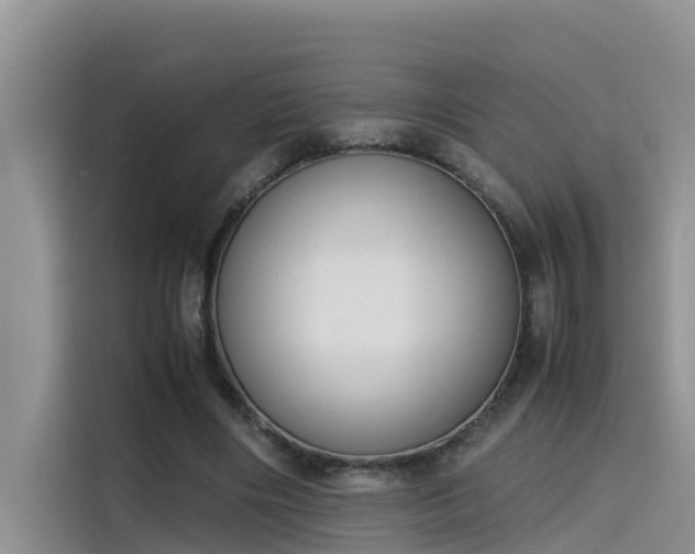 X0000115620490200911171319