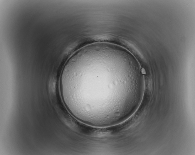 X0000115620491200911171319